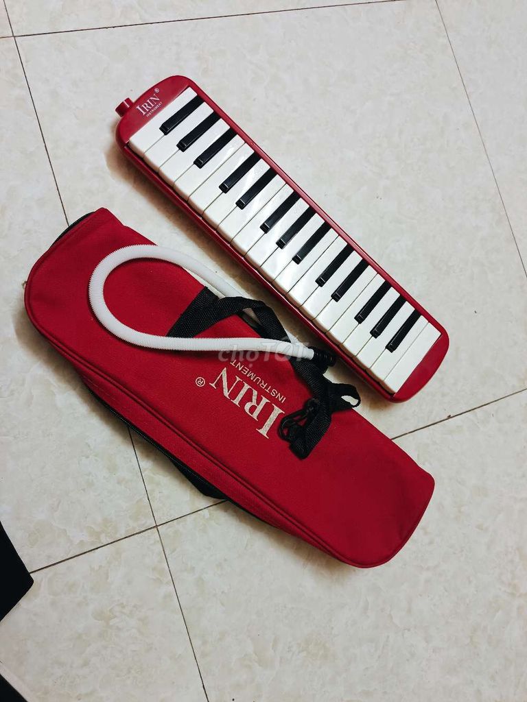 Đàn piano thổi bằng hơi. Đồ chơi năng khiếu