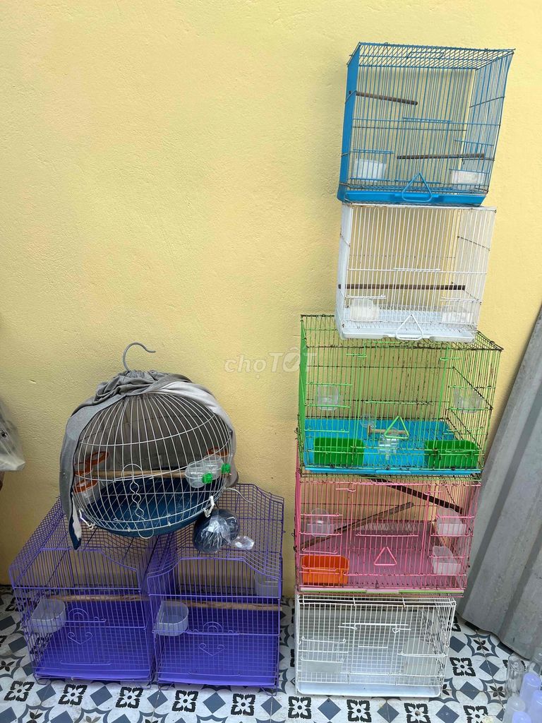 Lồng chim kim loại nhiều màu. Mua bán Phụ kiện, Thức ăn, Dịch vụ tại Thành phố Huế Thừa Thiên Huế được đăng bởi tuấn hình 1