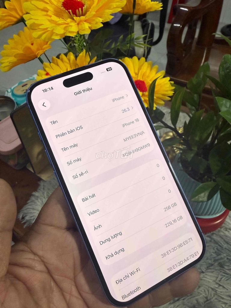 Apple iPhone 16 256GB Xanh 99% mới. Mua bán Điện thoại tại Thành phố Biên Hòa Đồng Nai được đăng bởi thanh hình 1