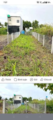 Cho thuê đất nền. Cho thuê đất tại Huyện Châu Thành Kiên Giang được đăng bởi Nguyễn Văn luyến 