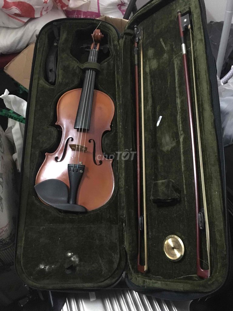 violin ARTICLE MV007 3/4