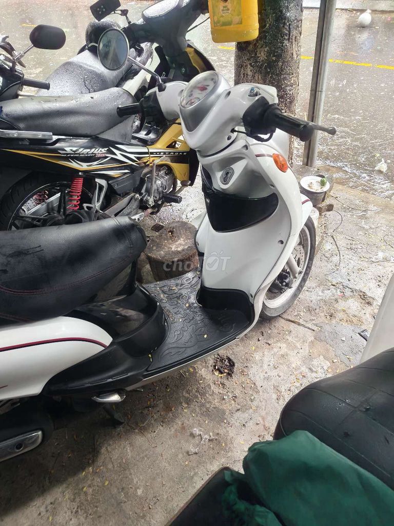 Yamaha Mio Classico Trắng biển 43