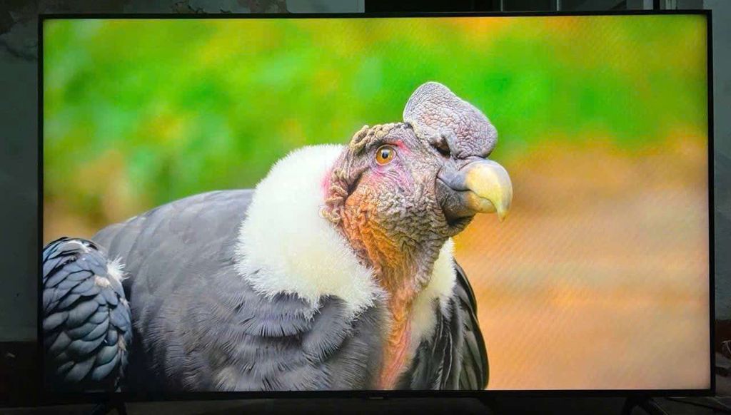 Tivi LG 50 inch Internet 4K. Mua bán Tivi, Âm thanh tại Quận Cầu Giấy Hà Nội được đăng bởi Trang hình 1