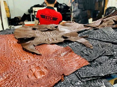Bạn đang tìm giày da cá sấu giá xưởng