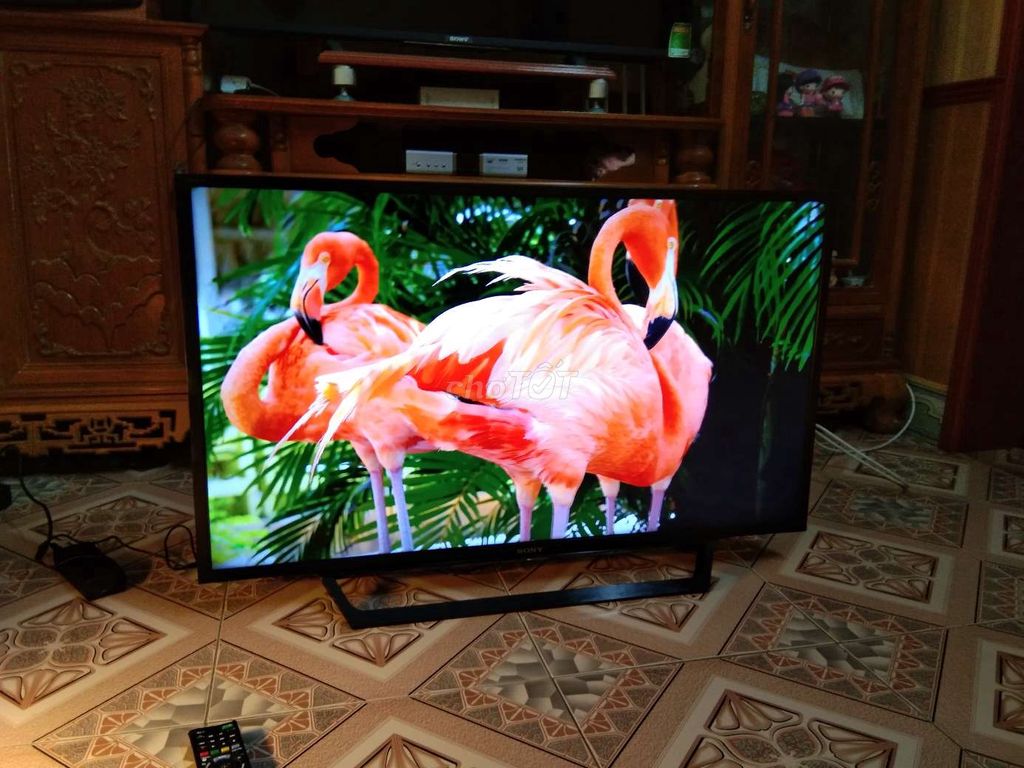 Tv sony 40in có mạng trực tiếp