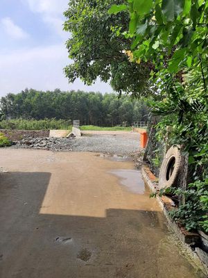 BÁN ĐẤT NN - QUY HOẠCH 100% ĐẤT ODT – KHU TĐC BÌNH HÒA, P. TÂN TRIỀU