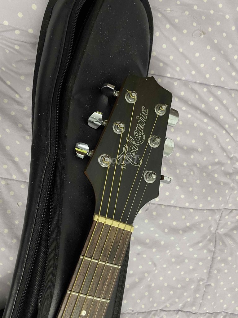 Đàn Guitar Acoustic Takamine ED1DC NS