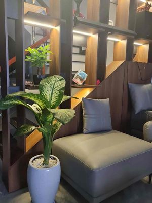Rent · 4 bd · 75 м² · Quận Hải Châu, ул. Đường Hà Huy Giáp