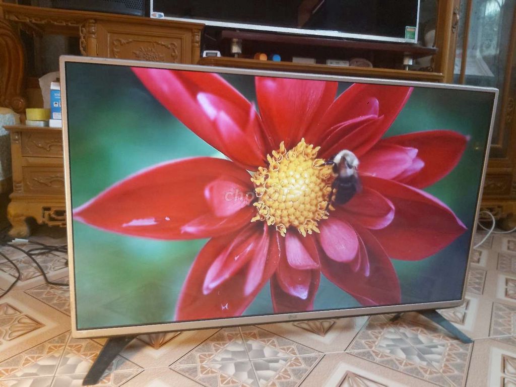 Tv lg 55in vào mạng nhanh đẹp