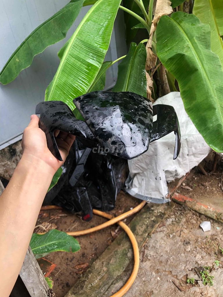 PHUỘT 50k,mảoex150 20k, heo trước25k,binhxang50k
