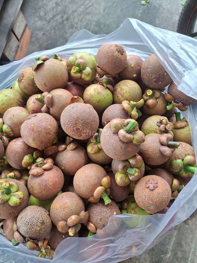 Măng cụt Lái Thiêu. Mua bán Đồ ăn, thực phẩm và các loại khác tại Thành phố Thuận An Bình Dương được đăng bởi Hoàng Lâm hình 1