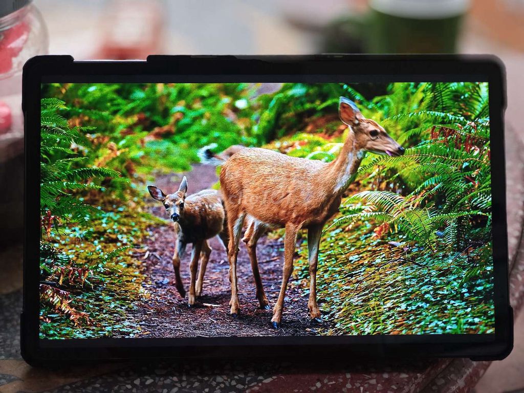 Honor Pad X9 11 inch 4GB/128GB Xám. Mua bán Máy tính bảng tại Huyện Mê Linh Hà Nội được đăng bởi Lệnh Hồ Xung hình 1