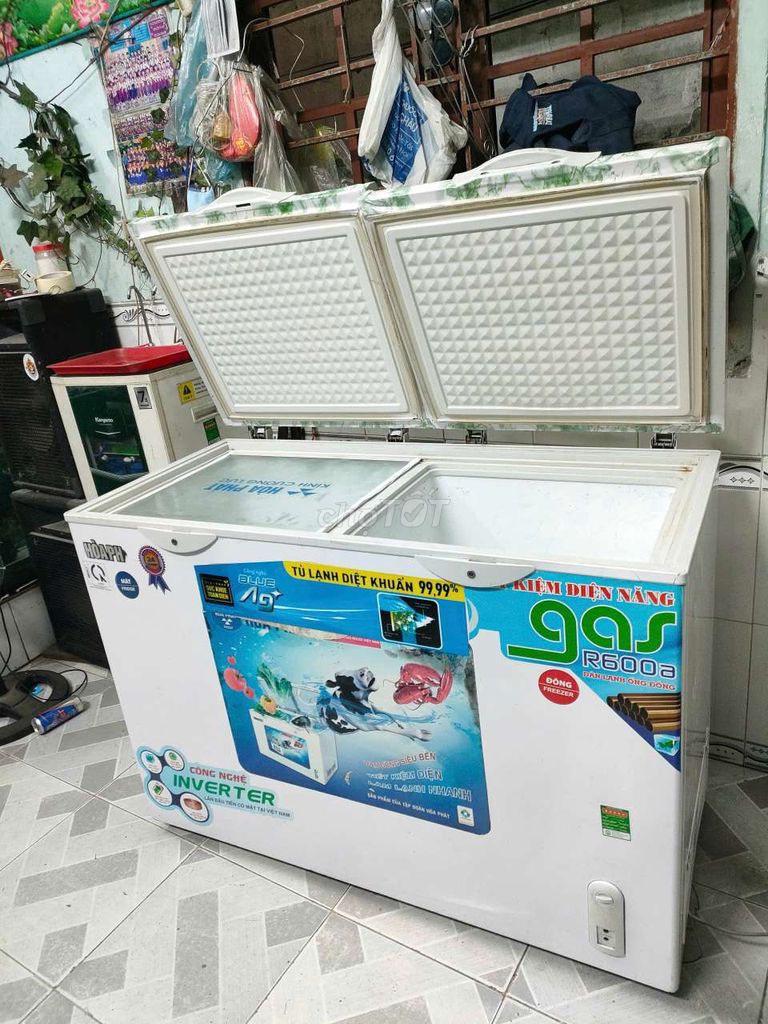 Bếp từ, tủ đông mát 340 lít, 1 đông 1 mát, máy zin