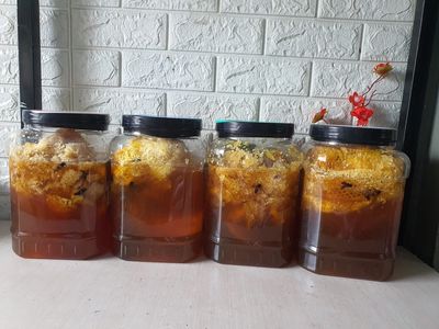 MẬT ONG TREO RỪNG nguyên chất, Tự Vắt Trải Nghiệm. Mua bán Đồ ăn, thực phẩm và các loại khác tại Quận Bình Tân Tp Hồ Chí Minh được đăng bởi Chang Chang