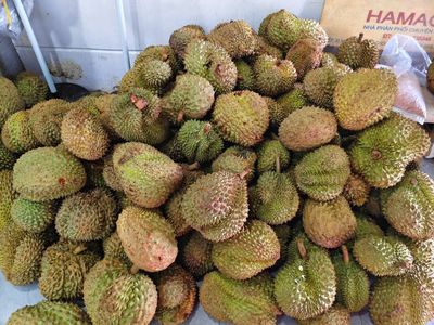 Sầu riêng Thái cơm vàng hạt lép. Mua bán Đồ ăn, thực phẩm và các loại khác tại Quận Ninh Kiều Cần Thơ được đăng bởi Bảo Nguyễn