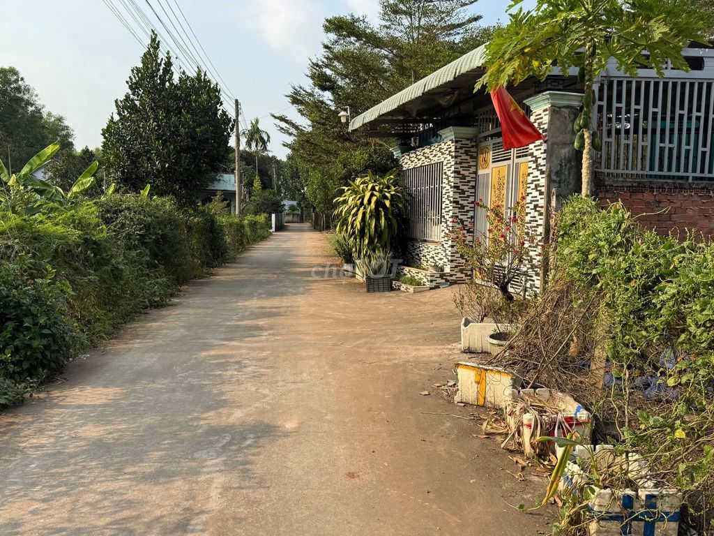 🔥 Chủ kẹt tiền bán nhanh đất thổ cư TT Dầu Giây 130m2 chỉ 365tr 🔥
