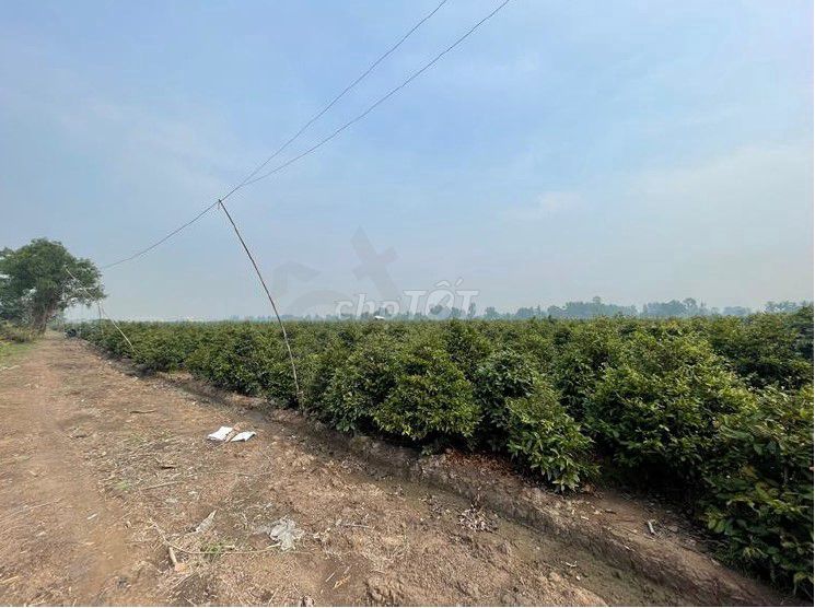 Đất chính chủ 65x150m (9.430m2), MT Kênh 1 Làng Mai Bình Lợi