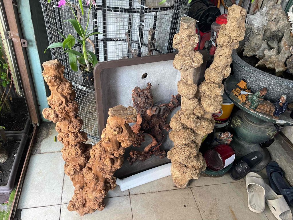 Nu cafe dùng trang trí quán hoặc làm chân bàn