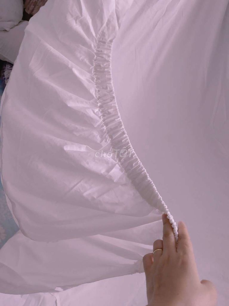 Drap giường m8, 100% cotton mềm mát (KOREA).