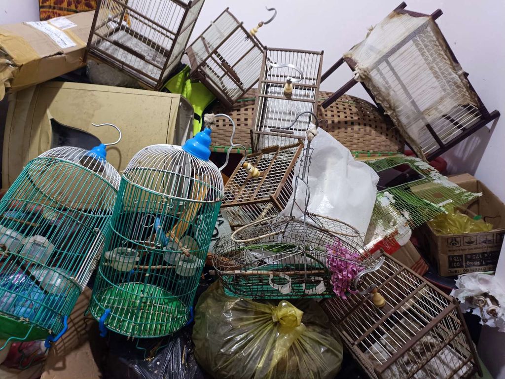 Lồng chim gỗ kim loại. Mua bán Phụ kiện, Thức ăn, Dịch vụ tại Huyện Nhơn Trạch Đồng Nai được đăng bởi Avan T hình 1