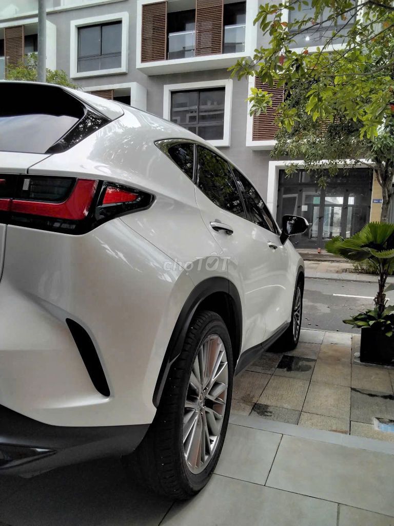 Lexus NX350h 2023 - 30.000km - Full Option. Mua bán Ô tô tại Thành phố Thủ Đức Tp Hồ Chí Minh được đăng bởi sang  hình 7