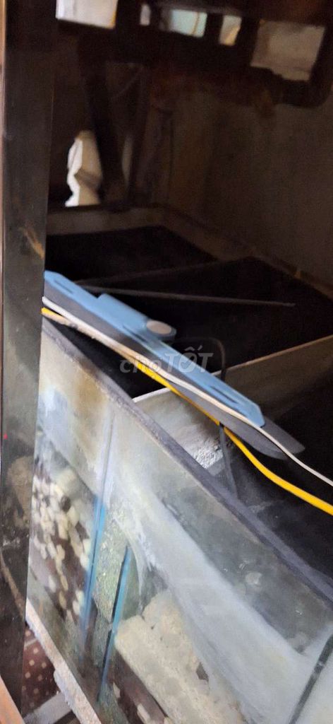 Bể cá cảnh Kính Gỗ. Mua bán Phụ kiện, Thức ăn, Dịch vụ tại Quận Ba Đình Hà Nội được đăng bởi Hoàng nhã  hình 1