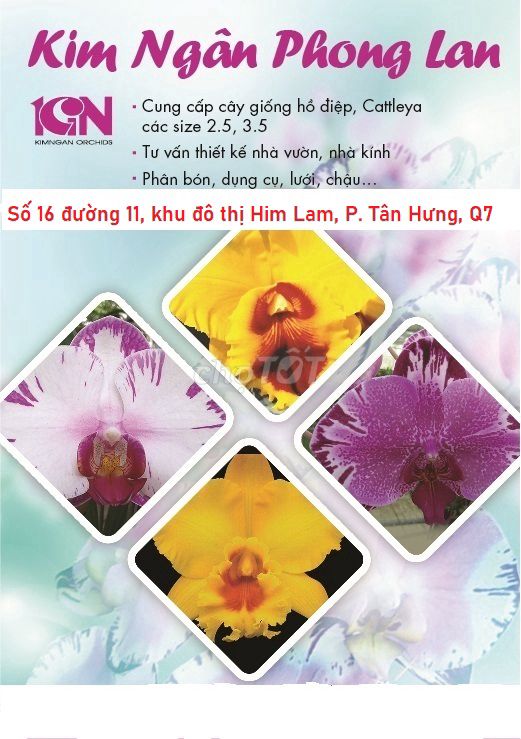 Tuyển 05 Nhân Viên Cắm Hoa + Giao Hoa