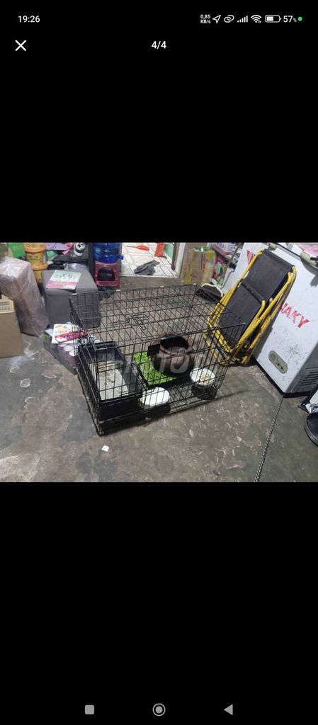 chuồng chó mèo. Mua bán Phụ kiện, Thức ăn, Dịch vụ tại Thị xã Tân Uyên Bình Dương được đăng bởi Nguyễn Chí thanh hình 1