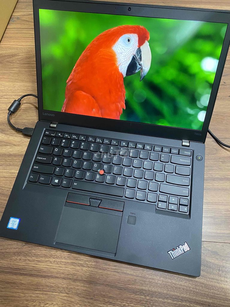 Con1 máy T460S i7 card rời Nvidia