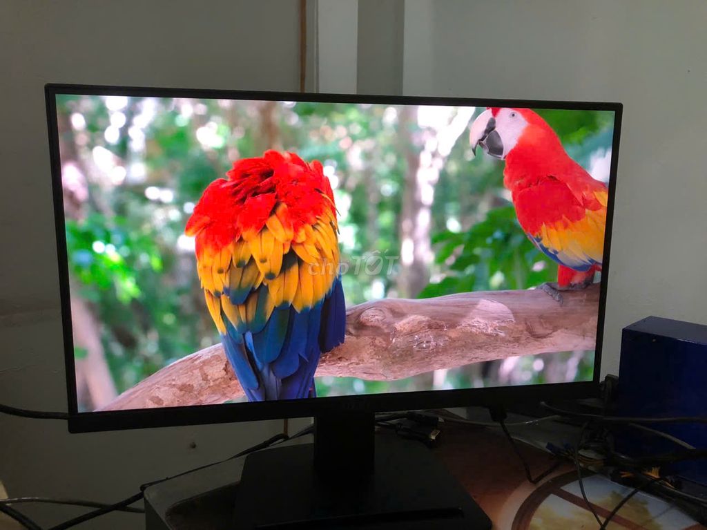 Màn Hình MSI Pro MP223 |22"/FHD/VA/100Hz/5ms/Phẳng