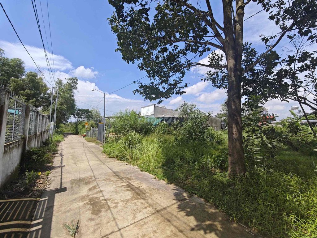 Bán Gấp Gần 1000 m2 Đất tại xã Phú Điền, H. Tân Phú, Đồng Nai