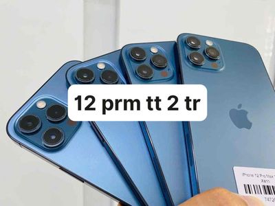 Apple iPhone 12 Pro Max Xanh