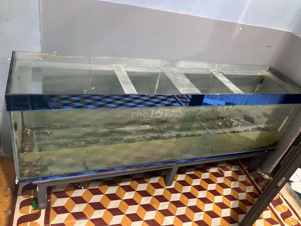 Bể cá cảnh kính 1m7x50x50cm 8 li. Mua bán Phụ kiện, Thức ăn, Dịch vụ tại Quận Thanh Khê Đà Nẵng được đăng bởi duy hình 1