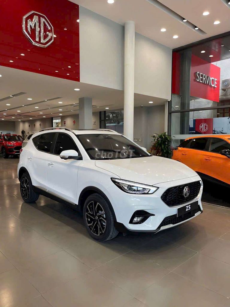 Ảnh số 6