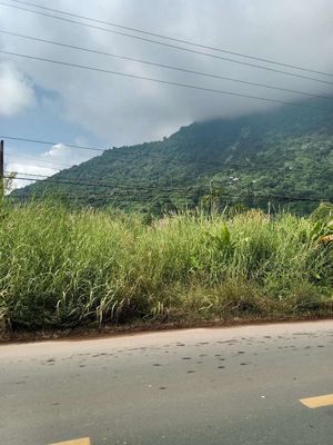 Bán gấp giá rẻ. đất Mặt Tiền nhựa núi Bà Đen. Mua bán đất tại Thành phố Tây Ninh Tây Ninh được đăng bởi nhan