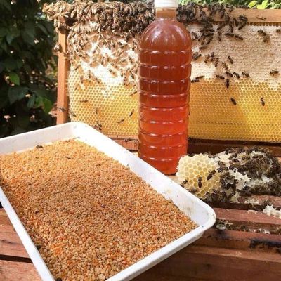 Mật Ong Hoa Cà Phê Gia Lai nay chỉ còn 145k/1lit. Mua bán Đồ ăn, thực phẩm và các loại khác tại Quận Gò Vấp Tp Hồ Chí Minh được đăng bởi SagonutNG