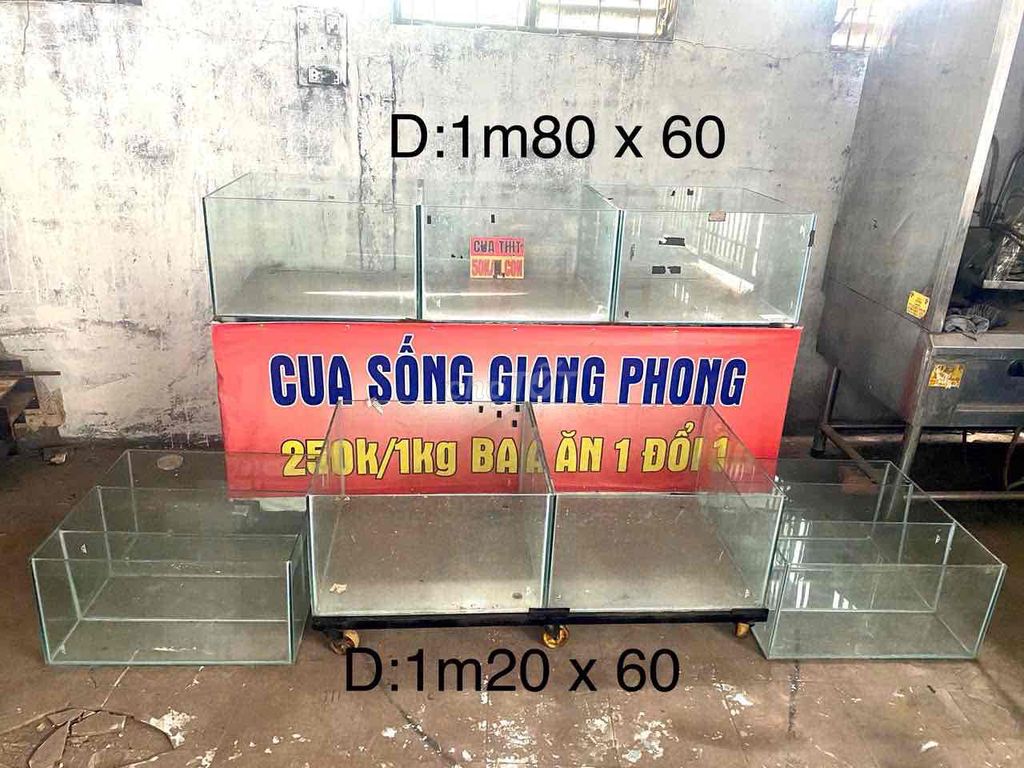 Bể cá Kính 1m80 x 60. Mua bán Phụ kiện, Thức ăn, Dịch vụ tại Huyện Hóc Môn Tp Hồ Chí Minh được đăng bởi Đồ Cũ Việt Trinh hình 1