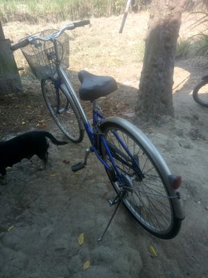Xe đạp Asama cho người lớn