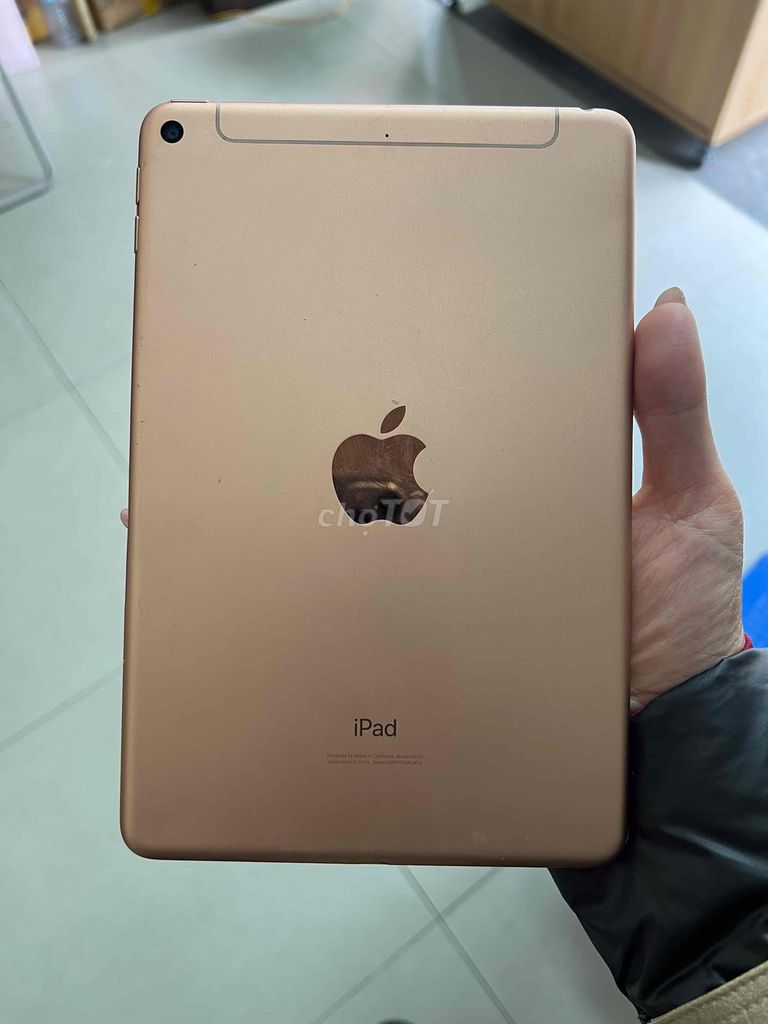 Thanh lý ipad mini 5 4g full chức năng