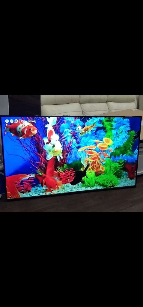 Bán Tivi TCL 65inch