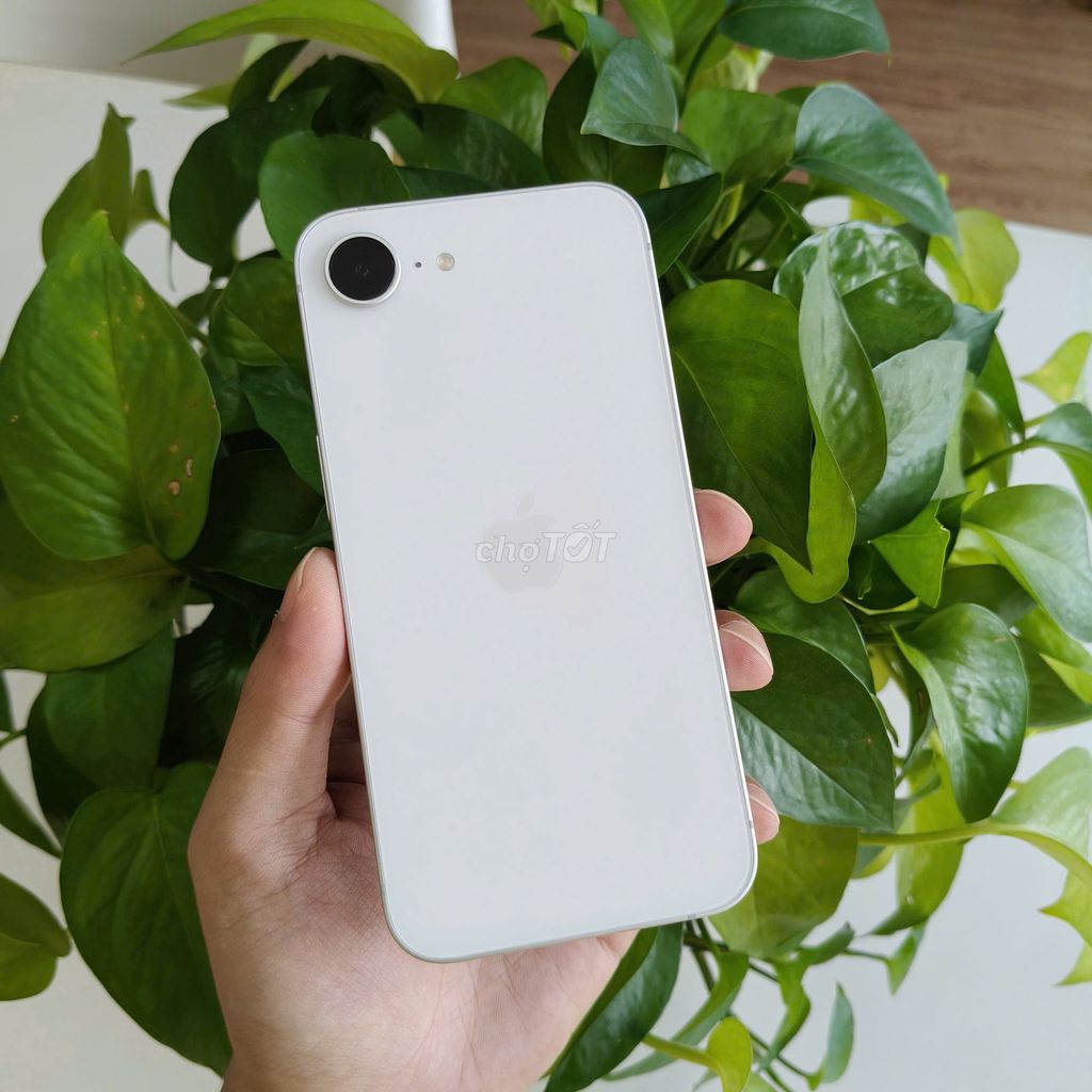 iPhone 16e KH/A 128GB ★ᴛʜᴜ ᴆᴛ ᴄᴜ̃★. Mua bán Điện thoại tại Quận Ninh Kiều Cần Thơ được đăng bởi DI ĐỘNG BULL hình 1