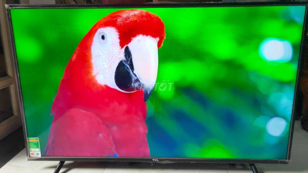 Smart tivi TCL50in 4k giọng nói belutooth youtube. Mua bán Tivi, Âm thanh tại Huyện Bình Chánh Tp Hồ Chí Minh được đăng bởi Pham vinh hình 1