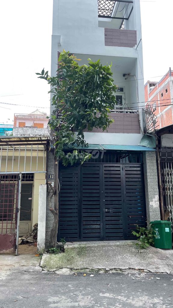 Cây mận 4M. Mua bán Cây cảnh, đồ trang trí tại Thành phố Thủ Đức Tp Hồ Chí Minh được đăng bởi Tu Tu hình 1
