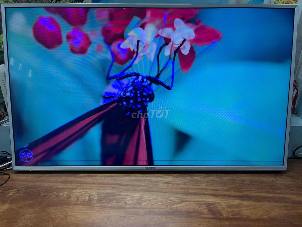 Tivi Panasonic 50inh smart bị chỉ mờ mép dưới. Mua bán Tivi, Âm thanh tại Quận Lê Chân Hải Phòng được đăng bởi thanh hình 1