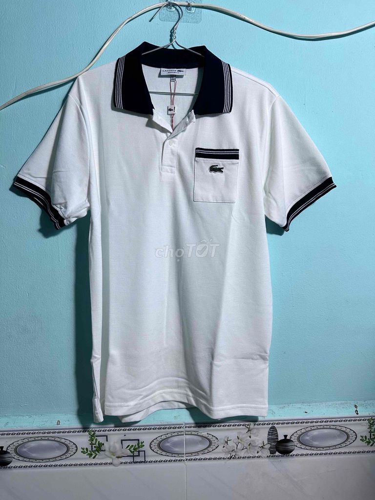 Áo polo Lacoste Nam Cotton Trắng. Mua bán Quần áo tại Huyện Bình Chánh Tp Hồ Chí Minh được đăng bởi Nguyễn Ngọc Thái hình 1