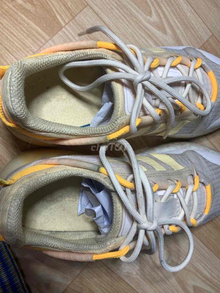 bán giày adidas real