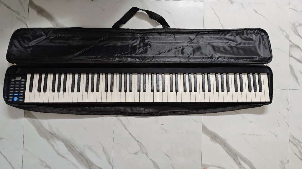 Piano điện 88 phím MUS02