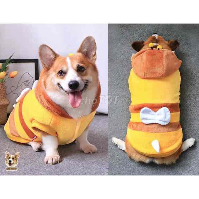 Áo cho thú cưng 3XL. Mua bán Phụ kiện, Thức ăn, Dịch vụ tại Quận Gò Vấp Tp Hồ Chí Minh được đăng bởi An  Nhiên hình 1