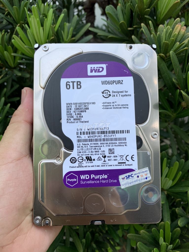 HDD Western Purple 6TB Tháo Máy