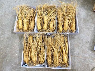 sâm tươi hàn quốc quà biếu 20/10. Mua bán Đồ ăn, thực phẩm và các loại khác tại Quận Hà Đông Hà Nội được đăng bởi thu Huệ 